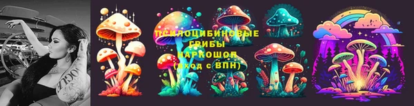 мяу мяу мука Алексин