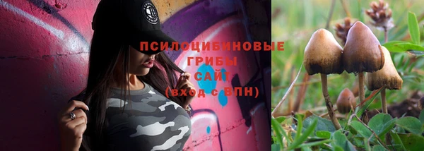 круглые Алексеевка