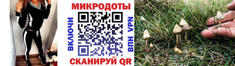 Псилоцибиновые грибы мицелий  Чусовой 
