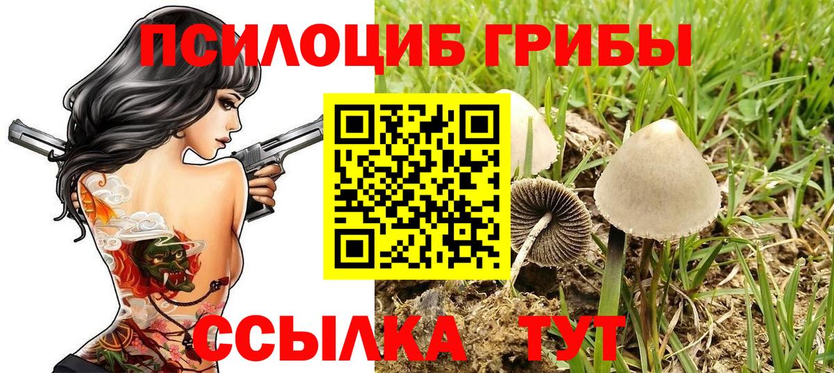Галлюциногенные грибы Psilocybe Чусовой